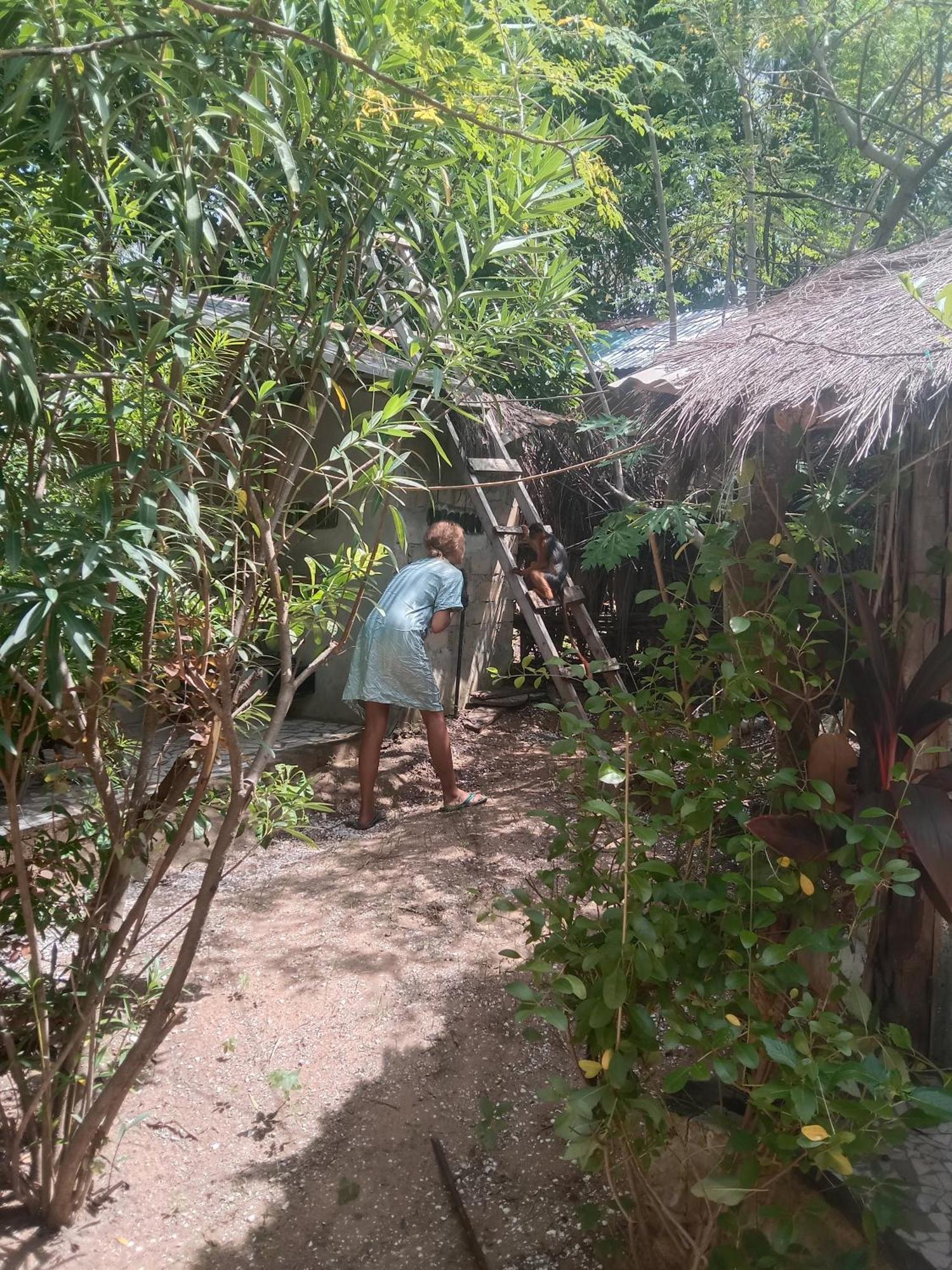 Вилла Chez Bethy & Baboulaye Jungle Et Ocean Abeme Экстерьер фото