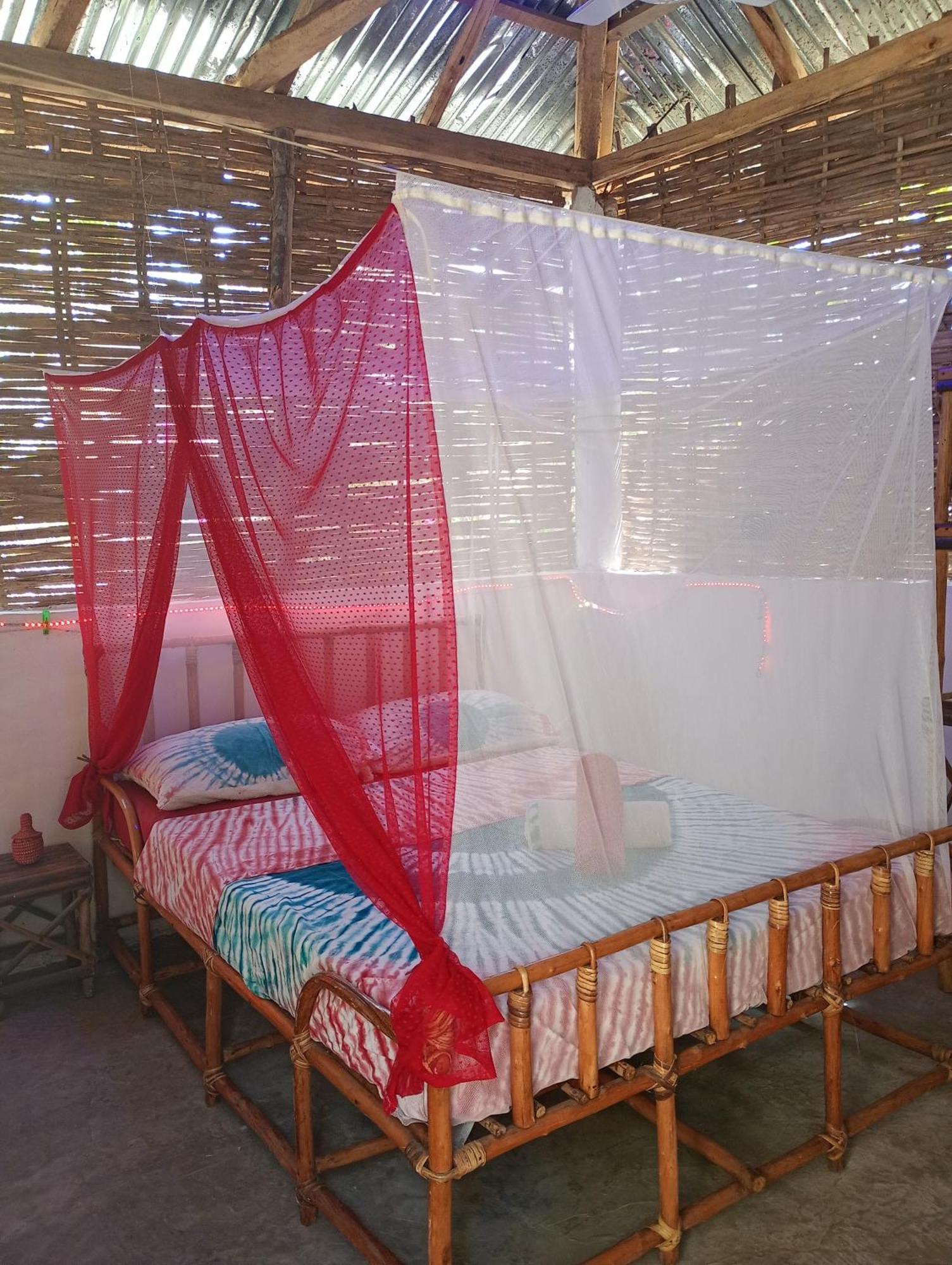 Вилла Chez Bethy & Baboulaye Jungle Et Ocean Abeme Номер фото
